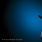 Preview Image 1